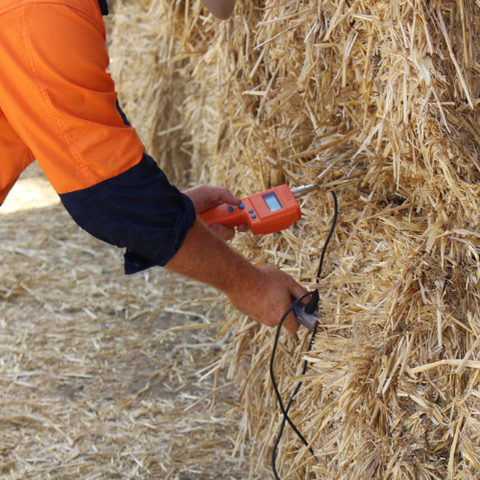 Moisture Meter
